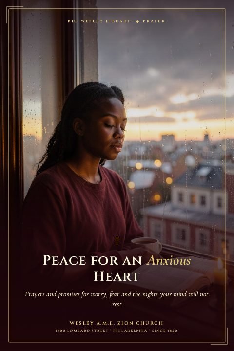 Cover of Peace for an Anxious Heart