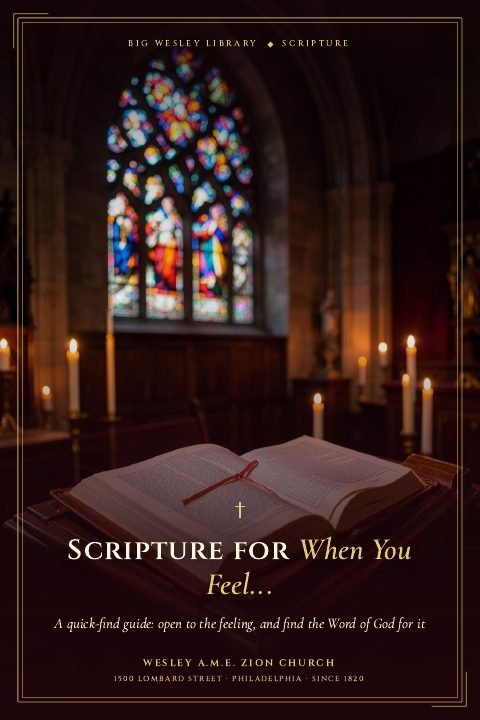 Cover of Scripture for When You Feel...